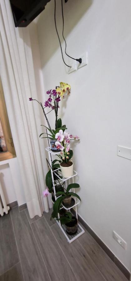 Orchidea Acomodação com café da manhã Bolonha Exterior foto